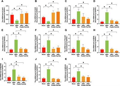 Puerarin attenuates myocardial ischemic injury and endoplasmic reticulum stress by upregulating the Mzb1 signal pathway